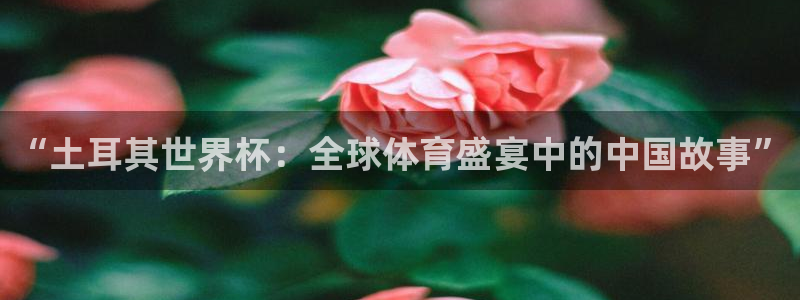 世界杯直播网站:“土耳其世界杯:全球体育盛宴中的中国故事”