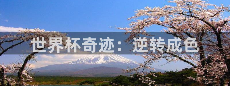 足球世预赛:世界杯奇迹:逆转成色