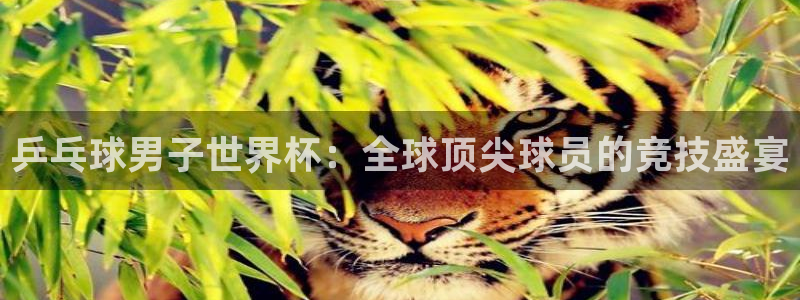 足球世界杯赛程:乒乓球男子世界杯:全球顶尖球员的竞技盛宴