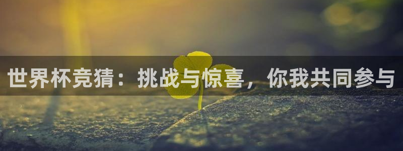 世界杯预选赛赛程时间表:世界杯竞猜:挑战与惊喜,你我共同参与
