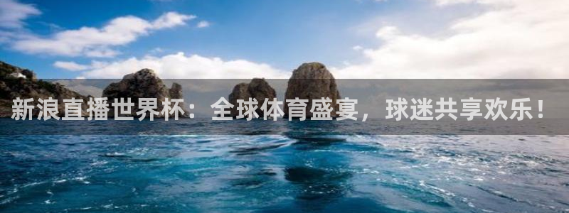 世界杯足球赛:新浪直播世界杯:全球体育盛宴,球迷共享欢乐!