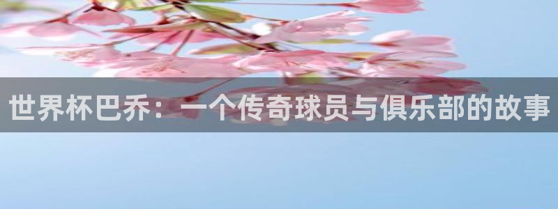 世界杯比赛时间:世界杯巴乔:一个传奇球员与俱乐部的故事