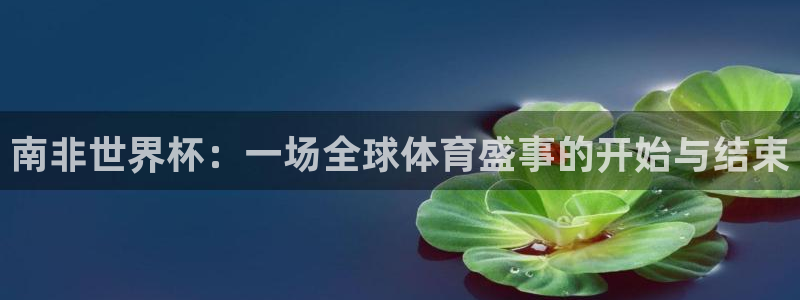 世界杯在线直播:南非世界杯:一场全球体育盛事的开始与结束