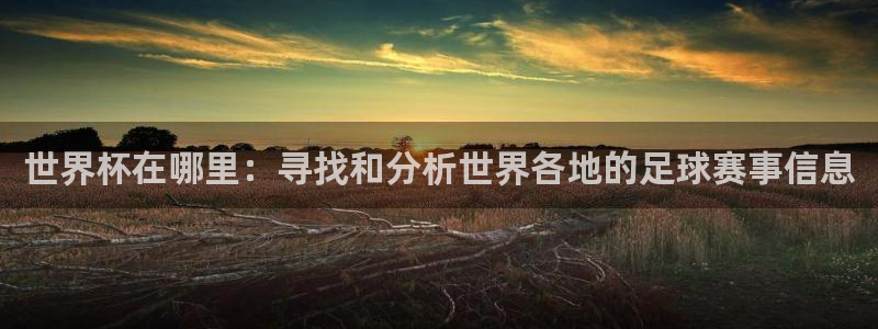 2026世界杯欧洲预选赛赛程表:世界杯在哪里:寻找和分析世界各地的足球赛事信息